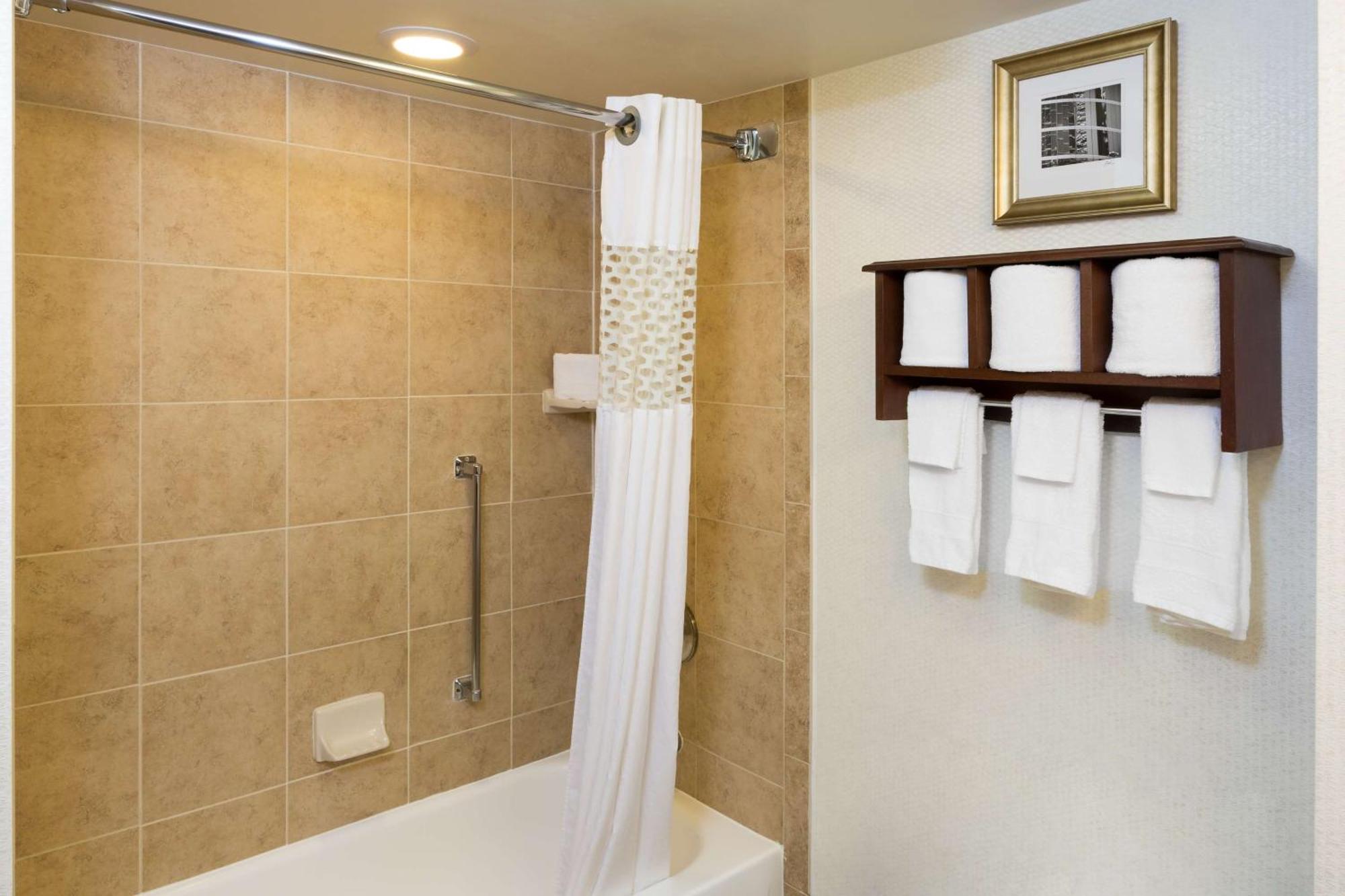 Hampton Inn Houston Near The Galleria Esterno foto
