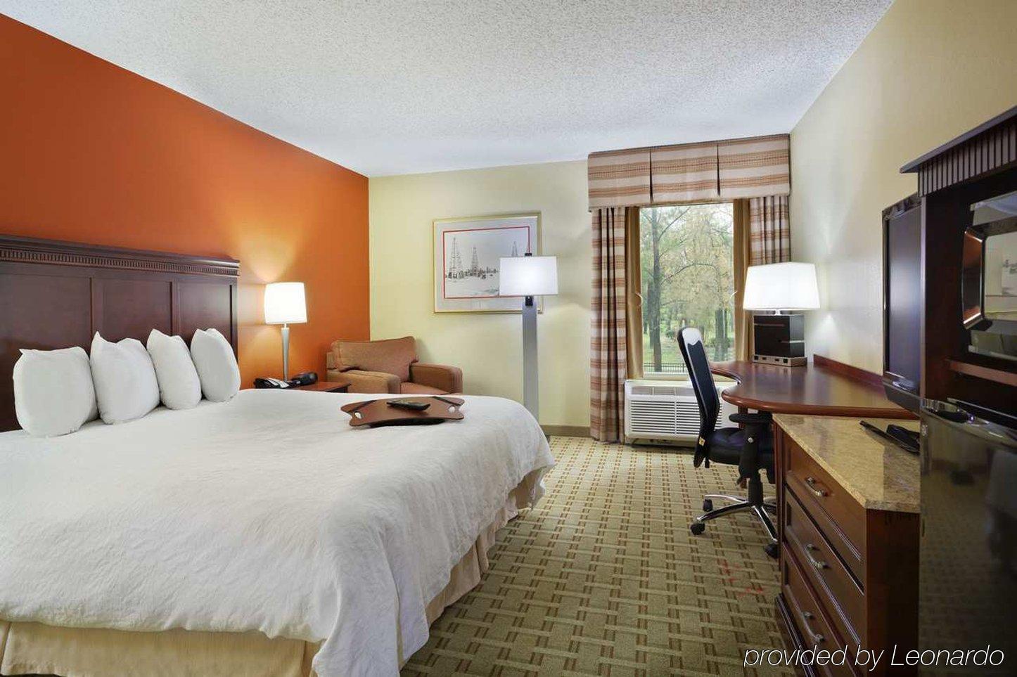 Hampton Inn Houston Near The Galleria Esterno foto